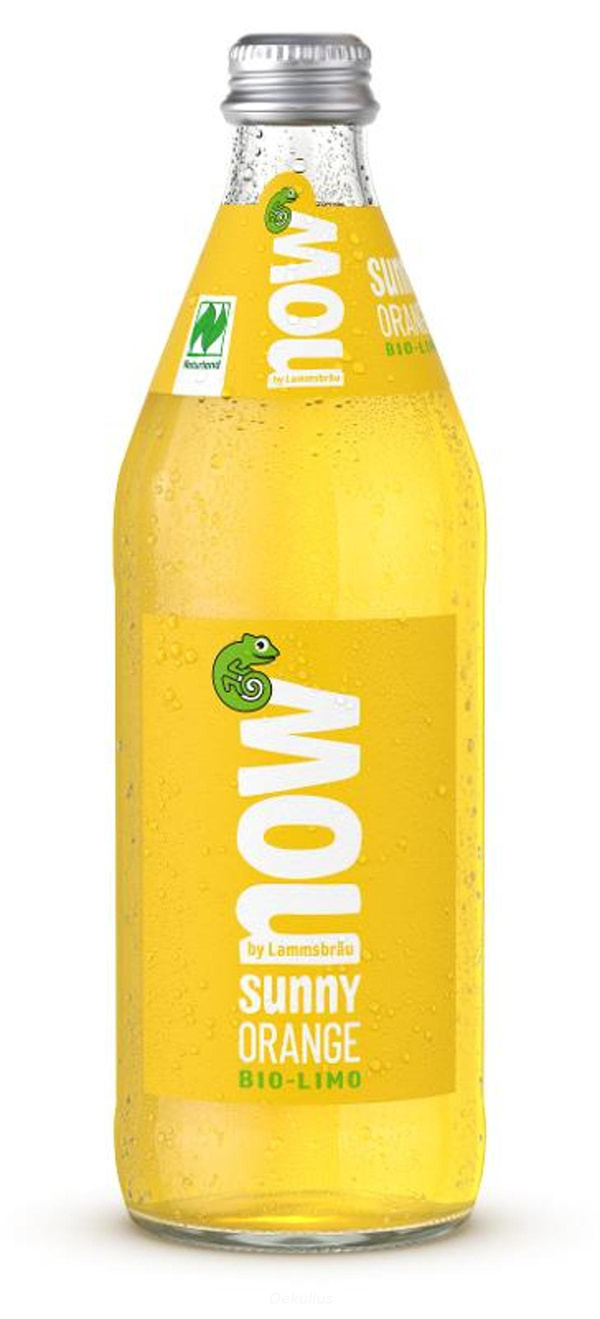 Produktfoto zu now Sunny Orange KISTE (10 x 0,5l)