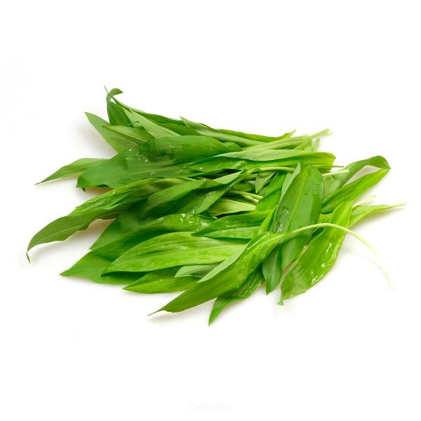 Produktfoto zu Bärlauch