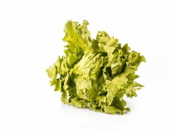 Produktfoto zu Kiste: Eisbergsalat 10 St.