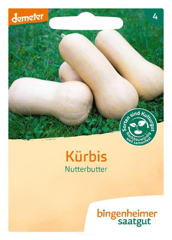 Produktfoto zu Kürbis "Nutterbutter" (Saatgut)