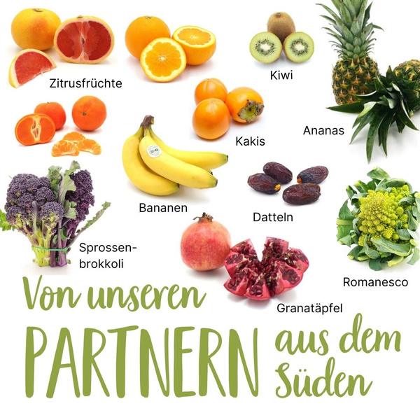 Saisonkalender Dezember 2025