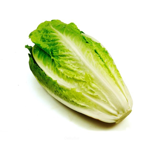 Produktfoto zu Kiste: Romana-Salat 8 St.