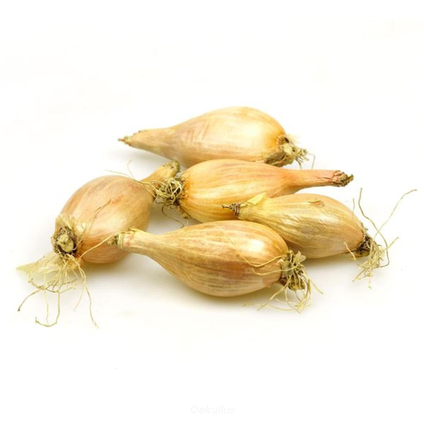 Produktfoto zu Kiste: Schalotten 5kg