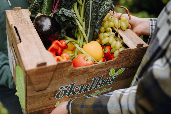 KI generiert: Eine Holzkiste voller frischem Gemüse und Obst. Text: "ökullus".