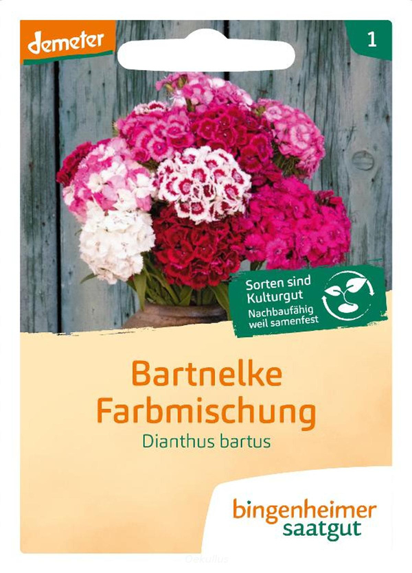 Produktfoto zu Bartnelke (Saatgut)