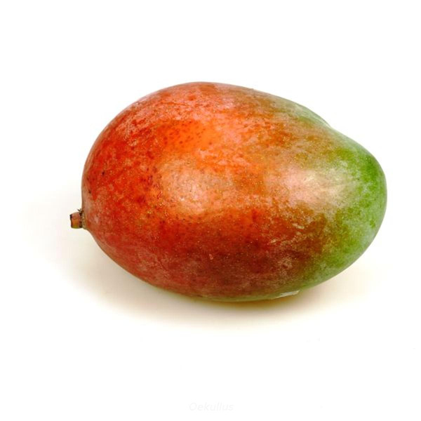 Produktfoto zu Mango "Osteen" ca. 330g