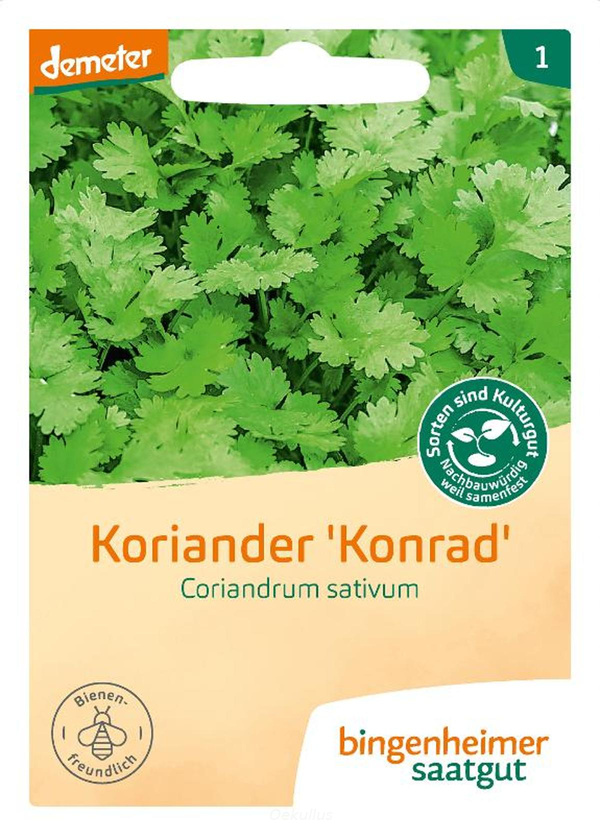 Produktfoto zu Koriander (Saatgut)