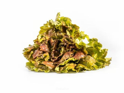 Produktfoto zu Bataviasalat rot