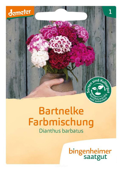 Produktfoto zu Bartnelke (Saatgut)