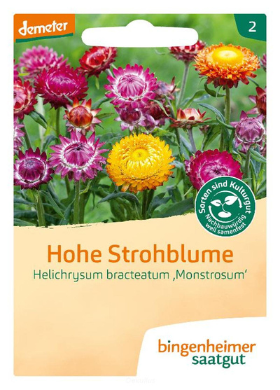 Produktfoto zu Strohblume Saatgut