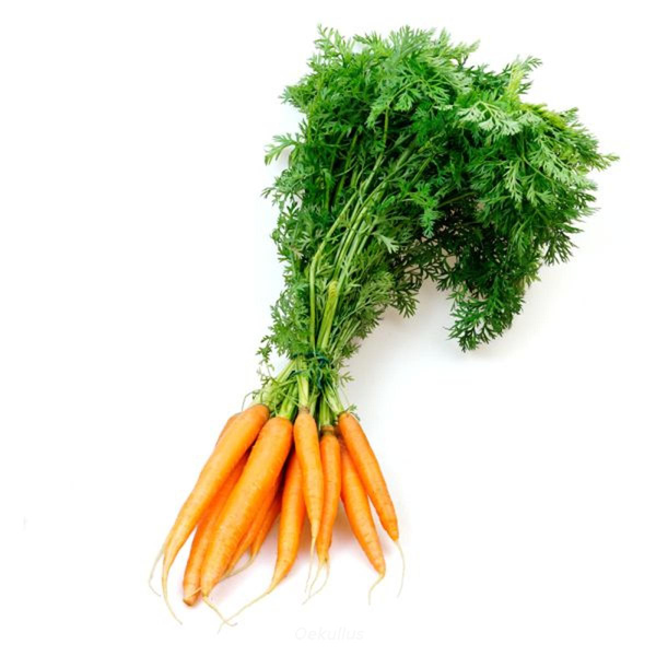 Produktfoto zu Kiste: Bundmöhren 6 Bund