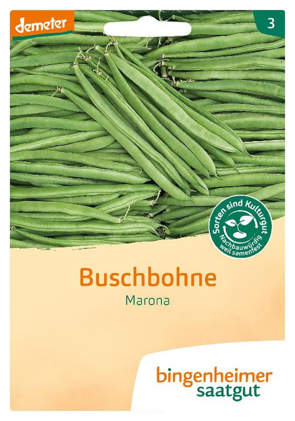 Produktfoto zu Buschbohne Marona (Saatgut)
