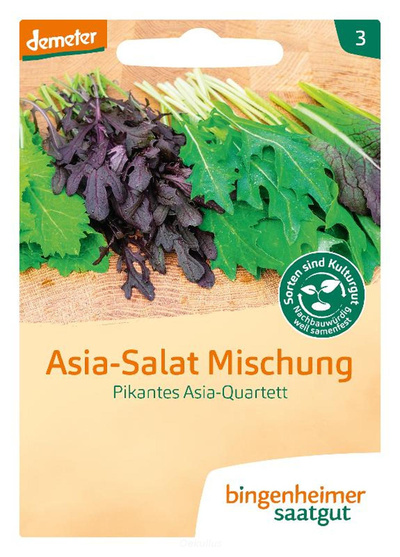Produktfoto zu Asia Salat Mischung (Saatgut)