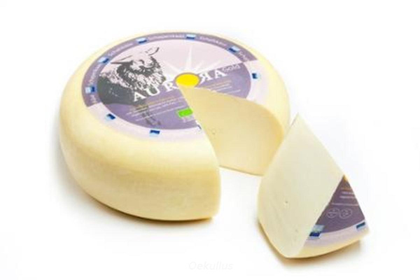 Produktfoto zu Gouda Schaf jung