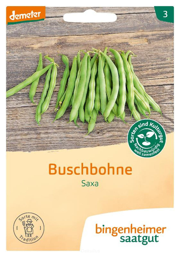 Produktfoto zu Buschbohne "Saxa" (Saatgut)