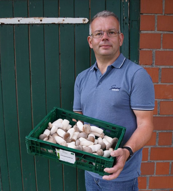 KI generiert: Ein Mann steht vor einer Backsteinmauer und hält eine grüne Kiste voller Pilze. Er trägt ein blaues Poloshirt und eine Brille.