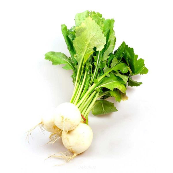 Produktfoto zu Mairübchen weiß