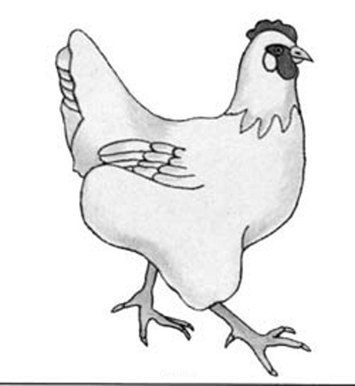 Produktfoto zu Suppenhuhn