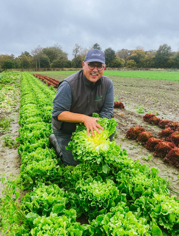 Jörg im Salatfeld