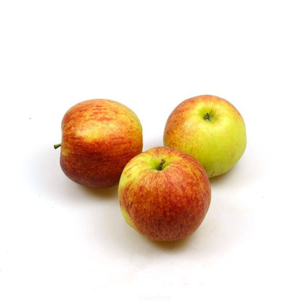 Produktfoto zu Kiste: Apfel, Jonagored 8kg