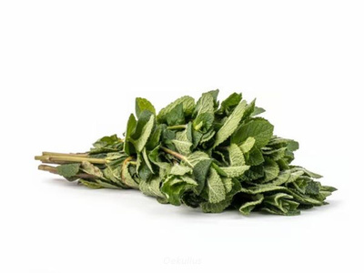 Produktfoto zu Minze