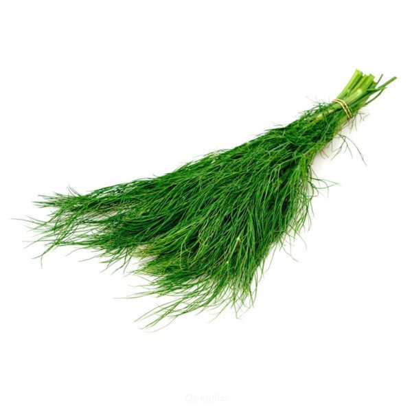 Produktfoto zu Dill