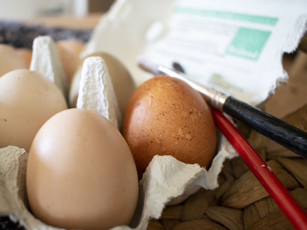Eier natürlich färben mit färbenden Lebensmitteln