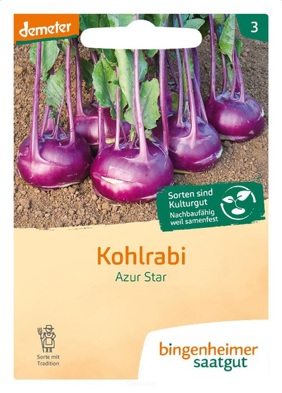 Produktfoto zu Kohlrabi "Azur Star" (Saatgut)
