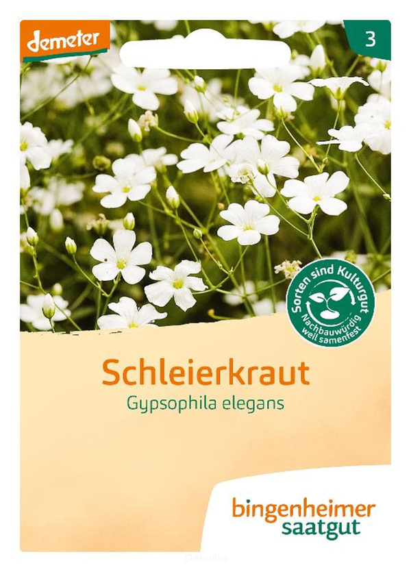 Produktfoto zu Schleierkraut (Saatgut)