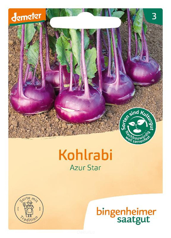 Produktfoto zu Kohlrabi "Azur Star" (Saatgut)