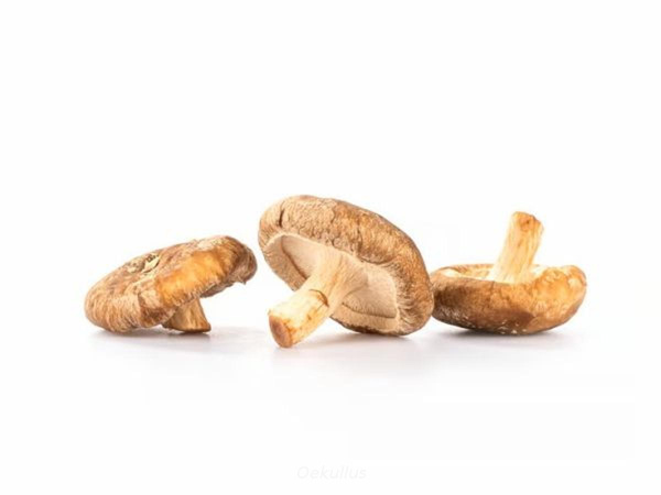 Produktfoto zu Shii-Take Pilze