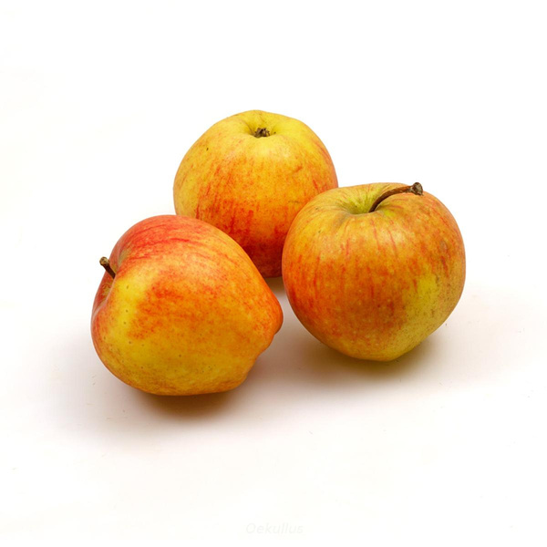 Produktfoto zu Kiste:Apfel, Honeycrisp 8kg