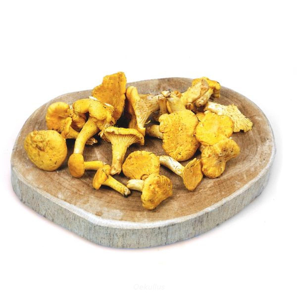 Produktfoto zu Pfifferlinge Wildsammlung