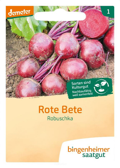 Produktfoto zu Rote Bete "Robuschka" (Saatgut)