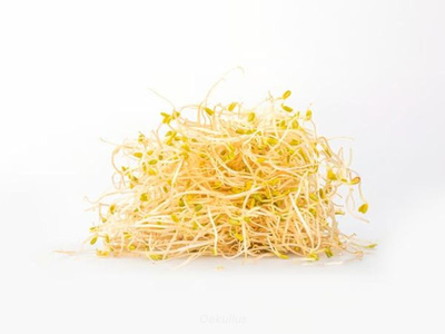 Produktfoto zu Alfalfasprossen