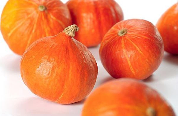 Produktfoto zu Kürbis Hokkaido