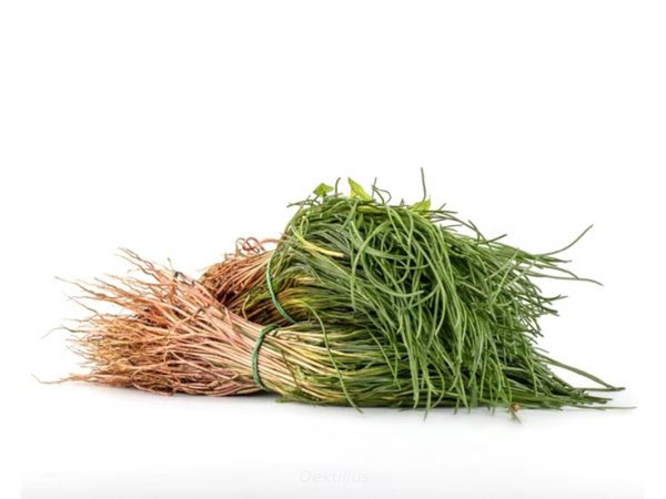 Produktfoto zu Mönchsbart im Bund