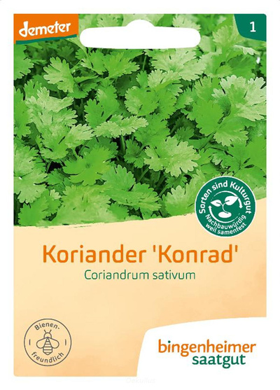 Produktfoto zu Koriander (Saatgut)