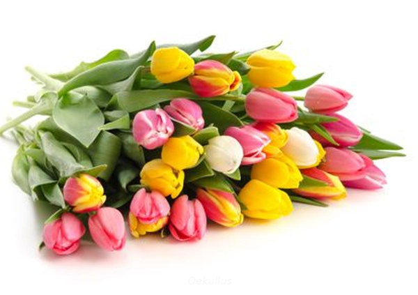 Produktfoto zu Tulpenstrauß, bunt