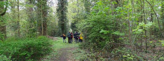 Kräuterwanderung