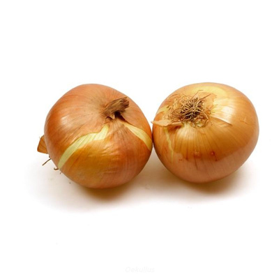 Produktfoto zu Kiste: Gemüsezwiebeln 10kg