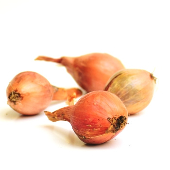 Schalotten
