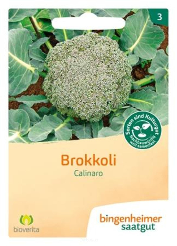 Produktfoto zu Brokkoli "Calinaro" (Saatgut)