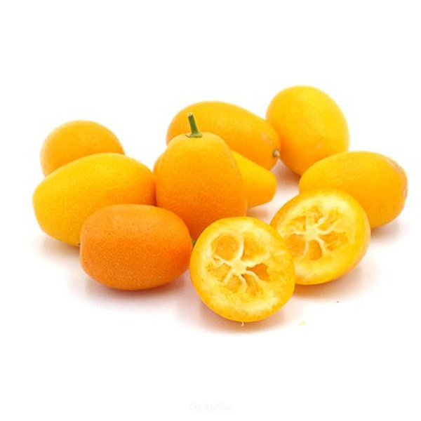 Produktfoto zu Zwergorange Kumquat