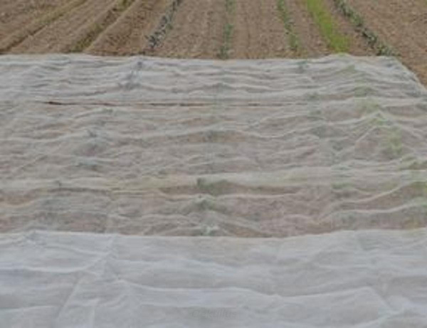 Produktfoto zu Gartennetz (Schutznetz)