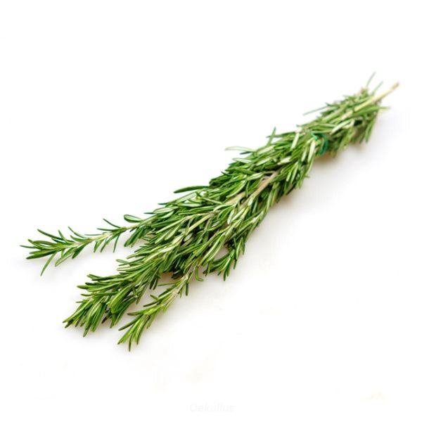 Produktfoto zu Rosmarin