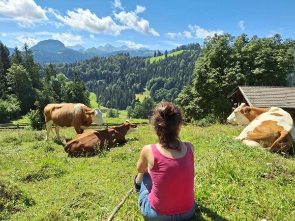Produktfoto zu Almabend