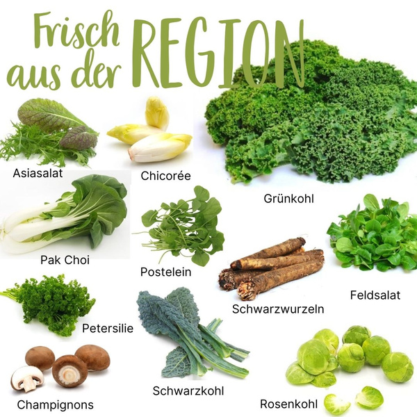 Saisonkalender Dezember 2025