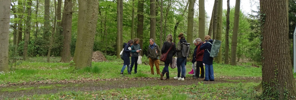 Kräuterwanderung
