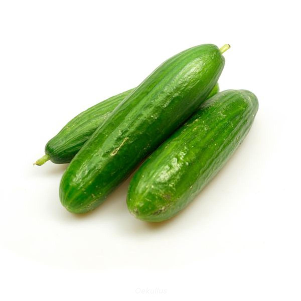Produktfoto zu Kiste: Minigurken 20 St.